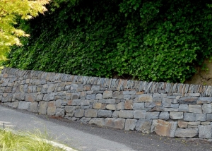 Emily Zoom E | Bellingham | Hardscaping | Landscaping | Borrowed Ground