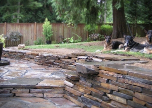 Joe Deb Zoom | Bellingham | Hardscaping | Landscaping | Borrowed Ground