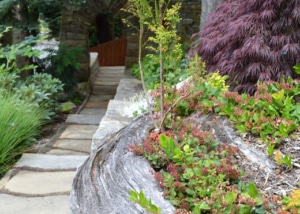 Duddleson | Bellingham | Hardscaping | Landscaping | Borrowed Ground