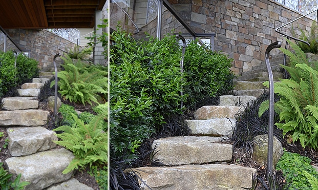 Duddleson | Bellingham | Hardscaping | Landscaping | Borrowed Ground