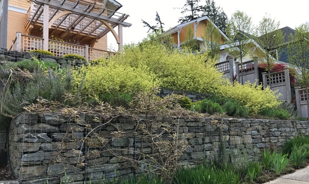 Gabion | Bellingham | Hardscaping | Landscaping | Borrowed Ground