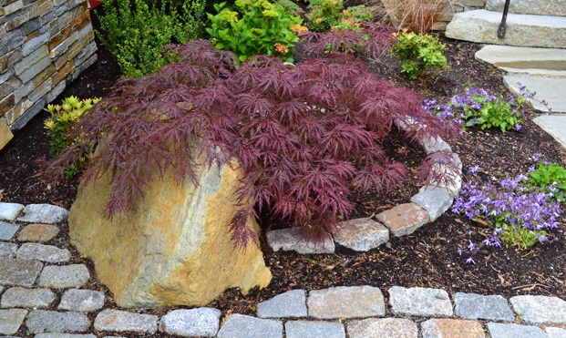 Hegarty | Bellingham | Hardscaping | Landscaping | Borrowed Ground