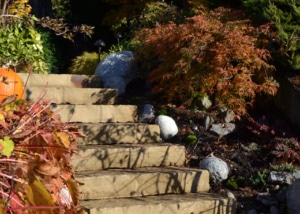 Nestors | Bellingham | Hardscaping | Landscaping | Borrowed Ground